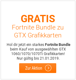 Gratis Fortnite Bundle zu GTX Grafikkarten