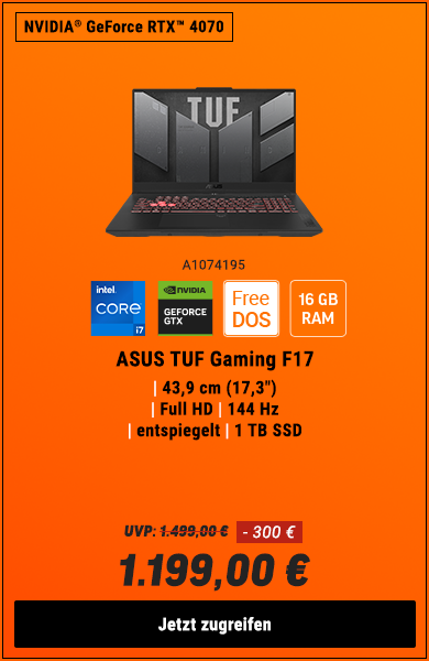 ASUS TUF Gaming F17 FX707VI-HX098