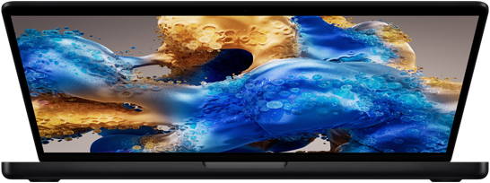 Apple MacBook Pro Space Schwarz MDE04D/A_3